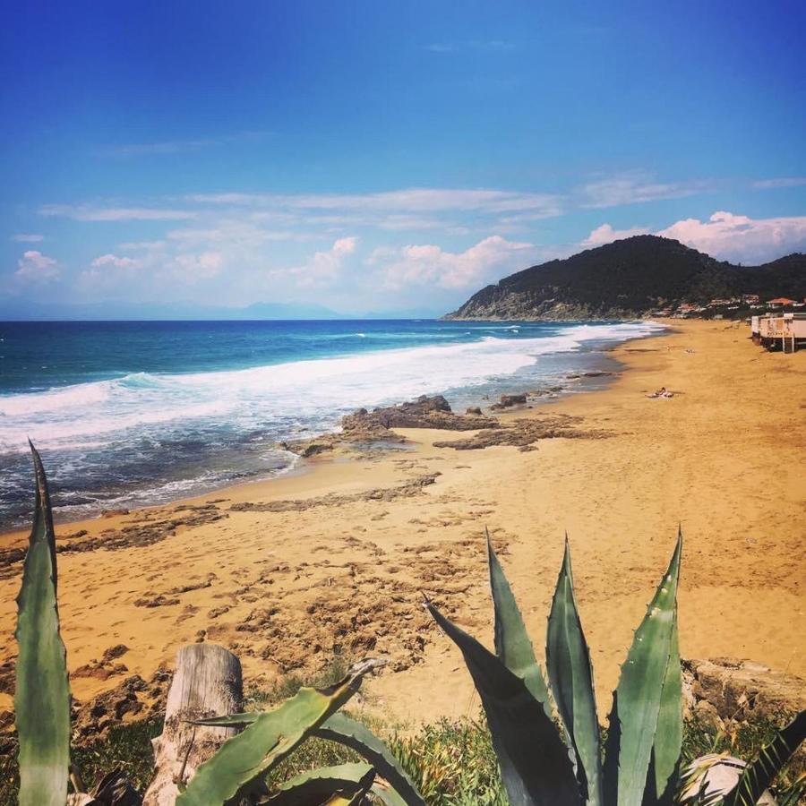 B&B Dionea Santa Maria di Castellabate Dış mekan fotoğraf