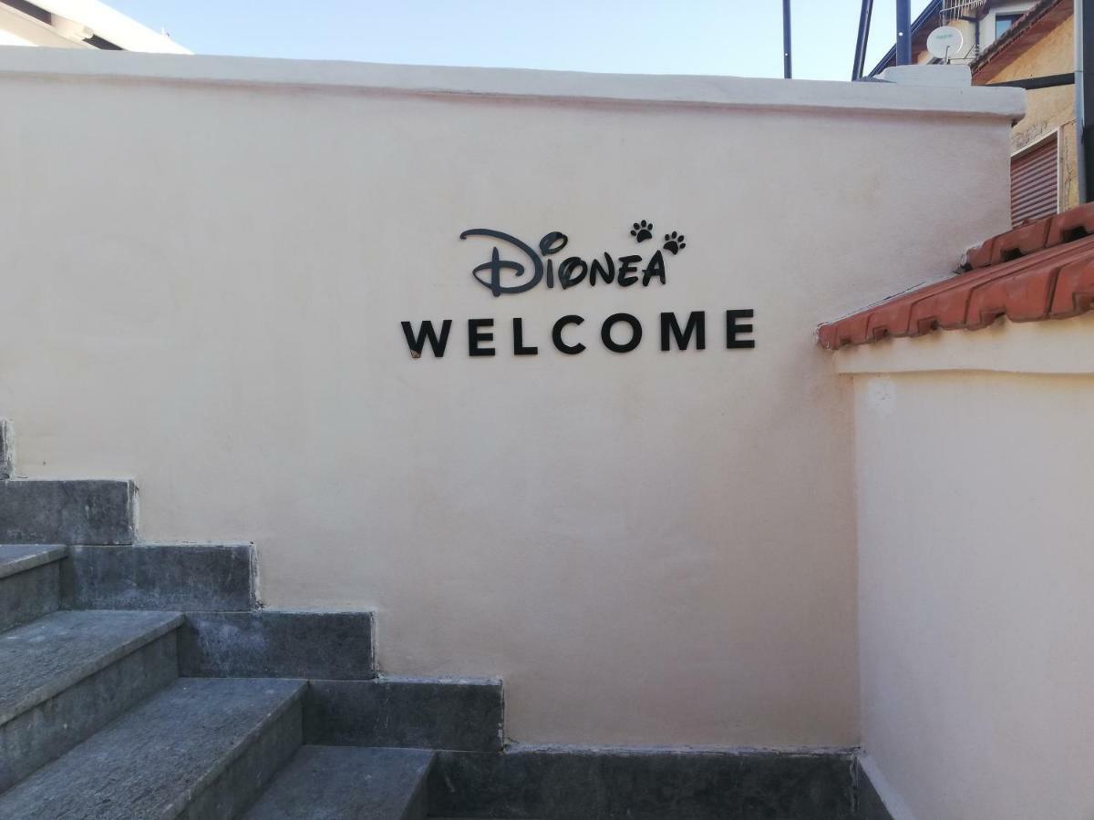 B&B Dionea Santa Maria di Castellabate Dış mekan fotoğraf